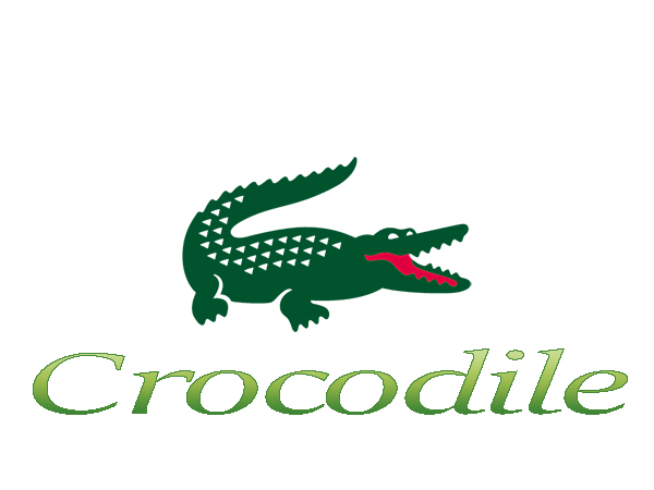 Brand Crocodile